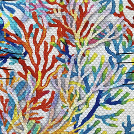 Coral weiß