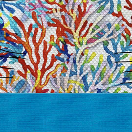 Coral weiss / Belize